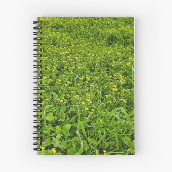 Item preview, spring bloom, eastern groundsel designed and sold by Lunar-Dragon.