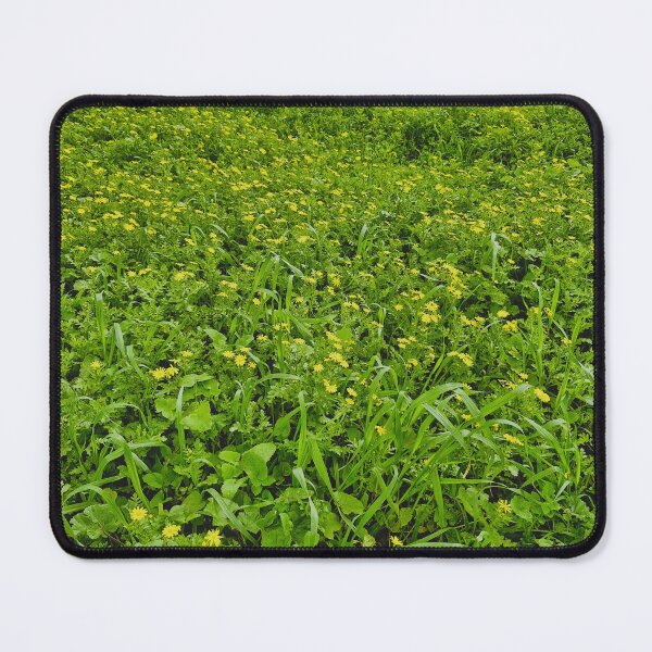 Item preview, spring bloom, eastern groundsel designed and sold by Lunar-Dragon.