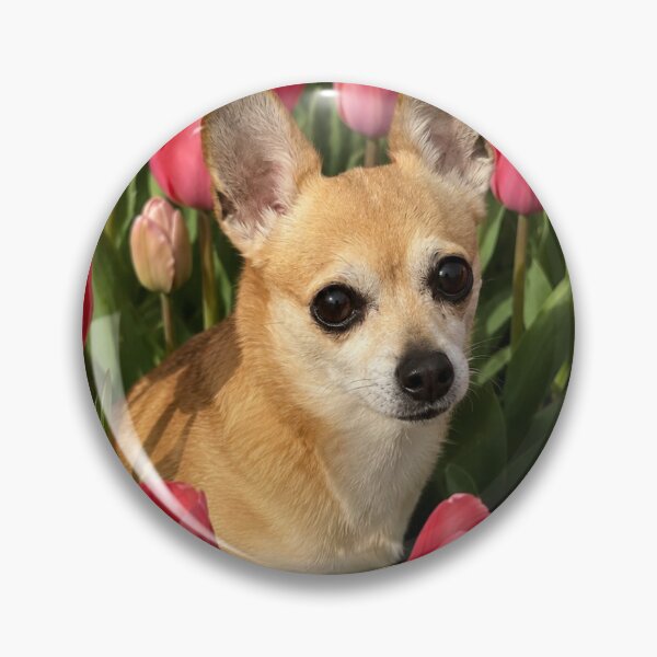 Item preview, Cute Chihuahua among pink tulips designed and sold by APDQC.