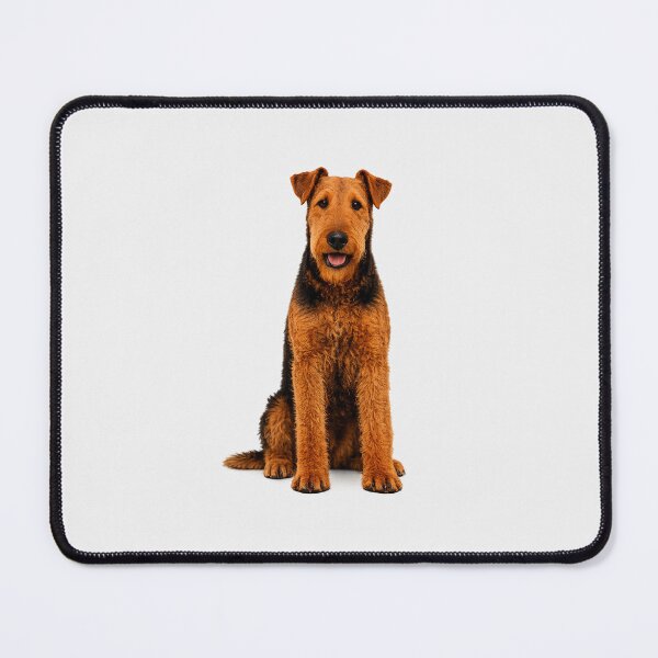 Item preview, Airedale Terrier Dog designed and sold by BackgroundND.