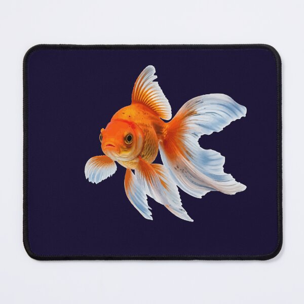 Item preview, Fancy Floating Goldfish Isolated designed and sold by taiche.