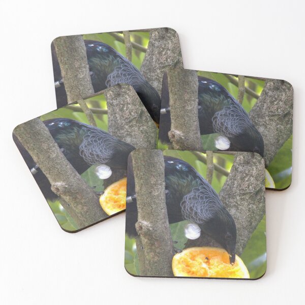 Item preview, New Zealand Native Tui designed and sold by aligata1970.