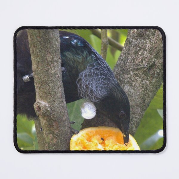 Item preview, New Zealand Native Tui designed and sold by aligata1970.