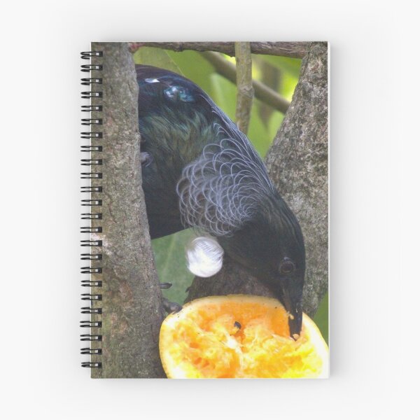 Item preview, New Zealand Native Tui designed and sold by aligata1970.