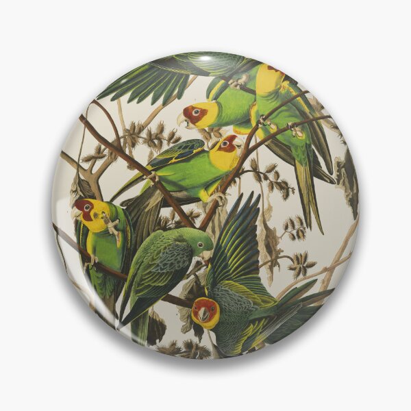 Item preview, Carolina Parrot Plate 26 (John James Audubon) designed and sold by KeriKilgo.