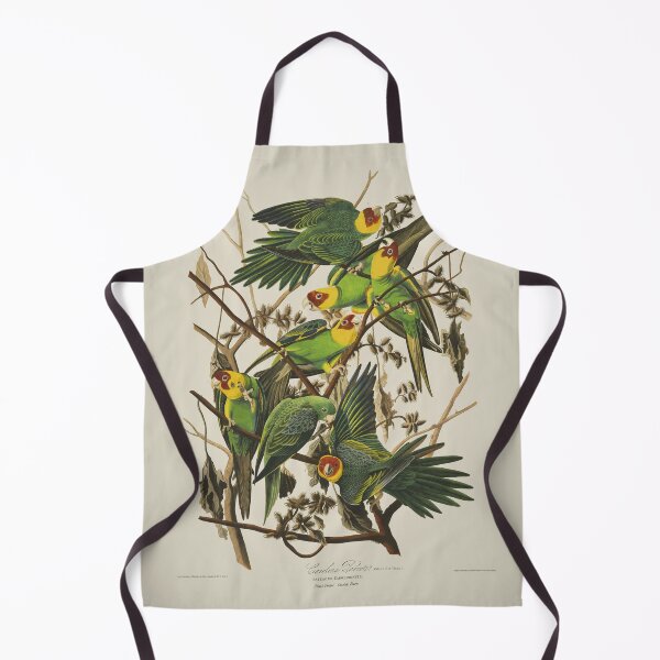 Item preview, Carolina Parrot Plate 26 (John James Audubon) designed and sold by KeriKilgo.