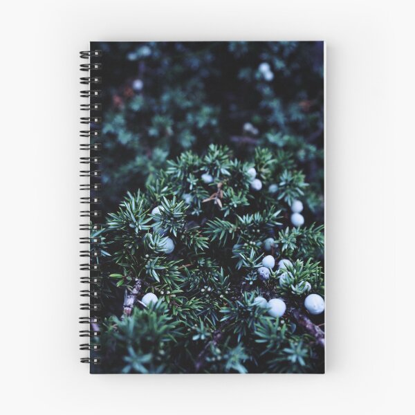 Item preview, Juniper bush designed and sold by KEYprints.