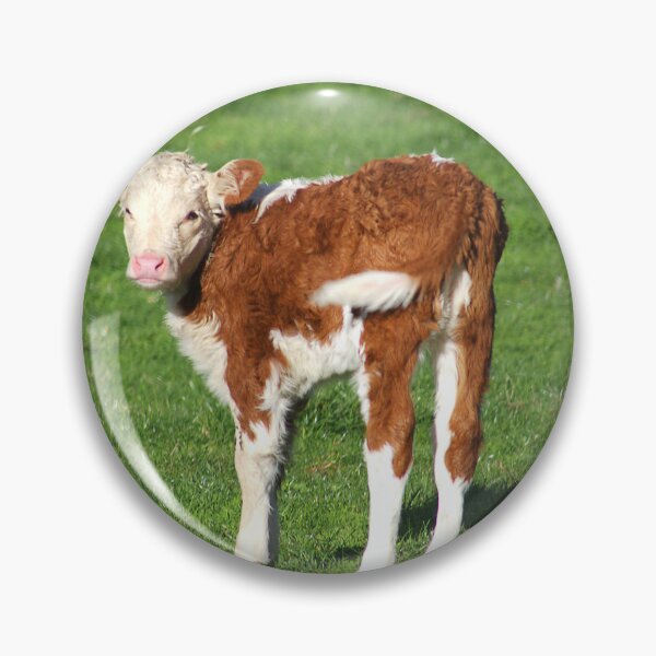 Item preview, Im So So Cute Young Calf designed and sold by Joy Watson - Natural Light Photography .