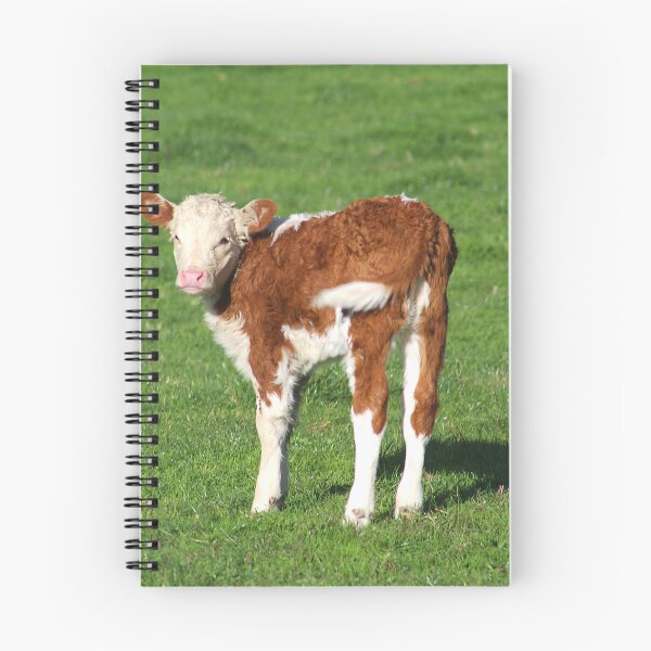 Item preview, Im So So Cute Young Calf designed and sold by Joy Watson - Natural Light Photography .