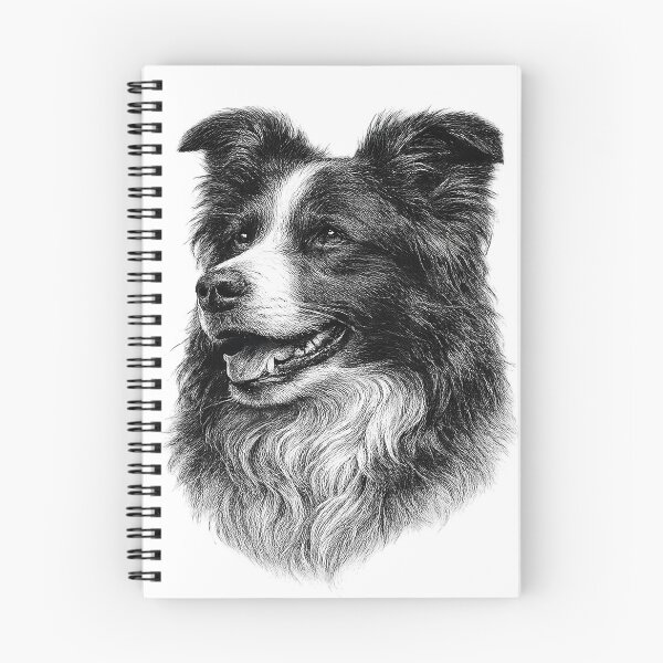Item preview, Monochrome engraved illustration of a Border Collie designed and sold by Inspired Arts.