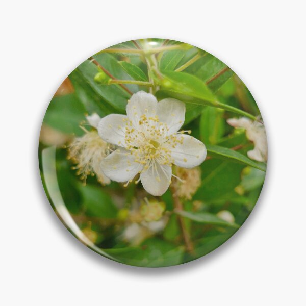 Item preview, spring bloom, common myrtle designed and sold by Lunar-Dragon.