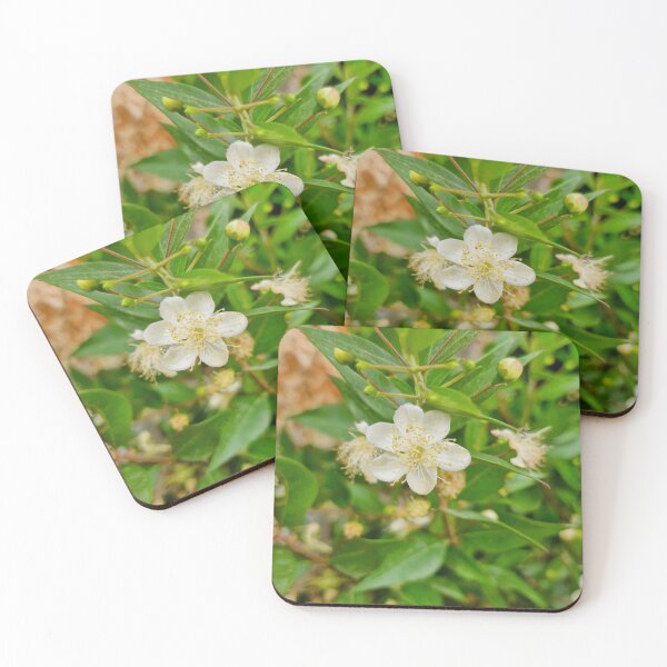 Item preview, spring bloom, common myrtle designed and sold by Lunar-Dragon.