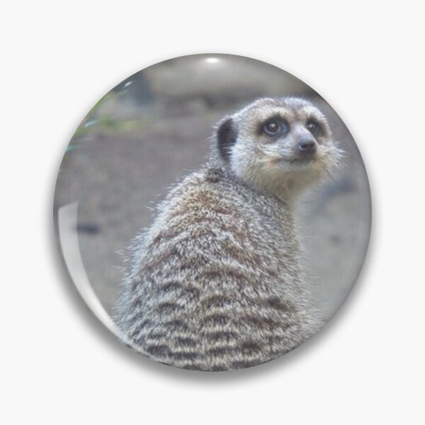 Item preview, Meerkat sitting on a log designed and sold by aligata1970.