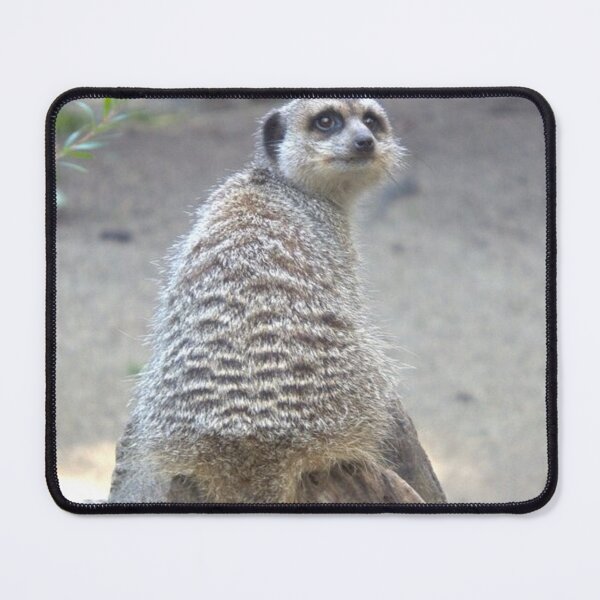 Item preview, Meerkat sitting on a log designed and sold by aligata1970.