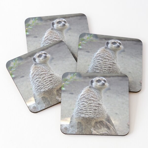 Item preview, Meerkat sitting on a log designed and sold by aligata1970.