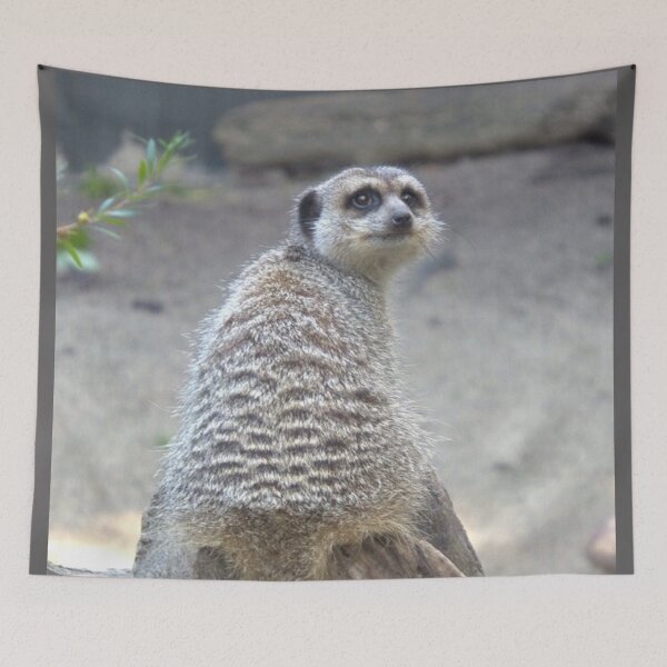 Item preview, Meerkat sitting on a log designed and sold by aligata1970.