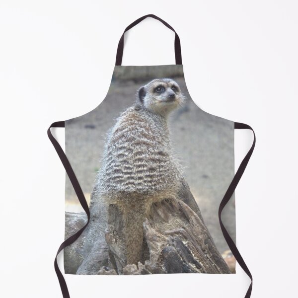 Item preview, Meerkat sitting on a log designed and sold by aligata1970.