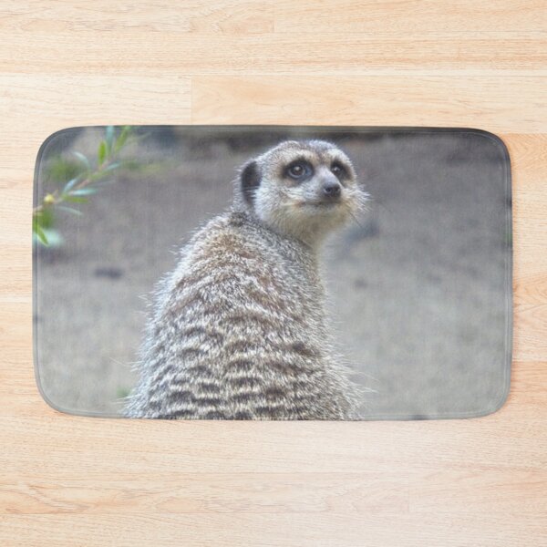 Item preview, Meerkat sitting on a log designed and sold by aligata1970.