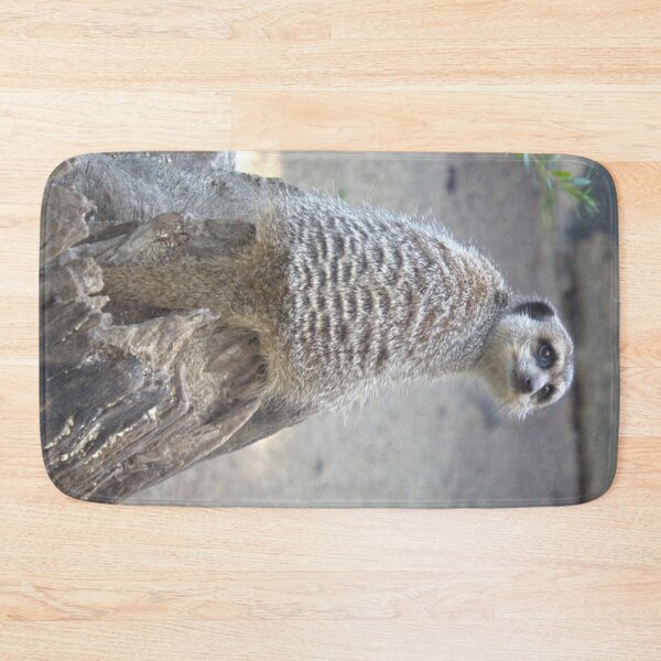 Item preview, Meerkat sitting on a log designed and sold by aligata1970.