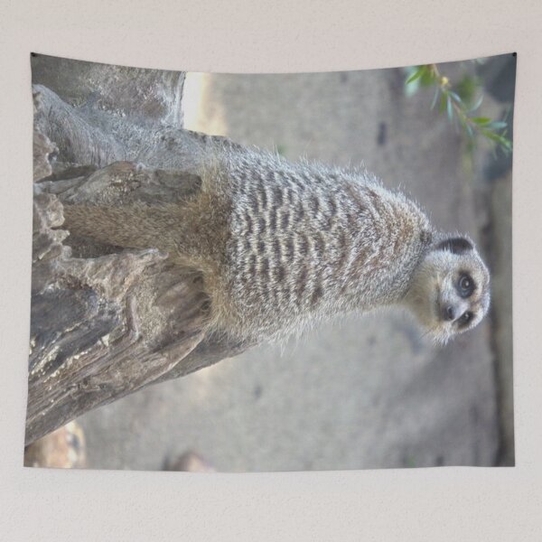 Item preview, Meerkat sitting on a log designed and sold by aligata1970.