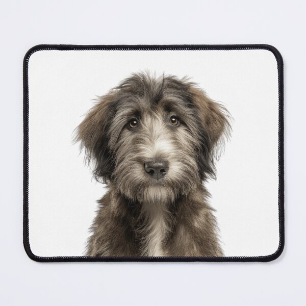 Item preview, Adorable Bergamasco Sheepdog puppy for Cute Bergamasco Shepherd puppy lovers designed and sold by LazyOwlStore.