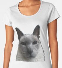 "Look Mom, No Background" Women's Premium T-Shirt
