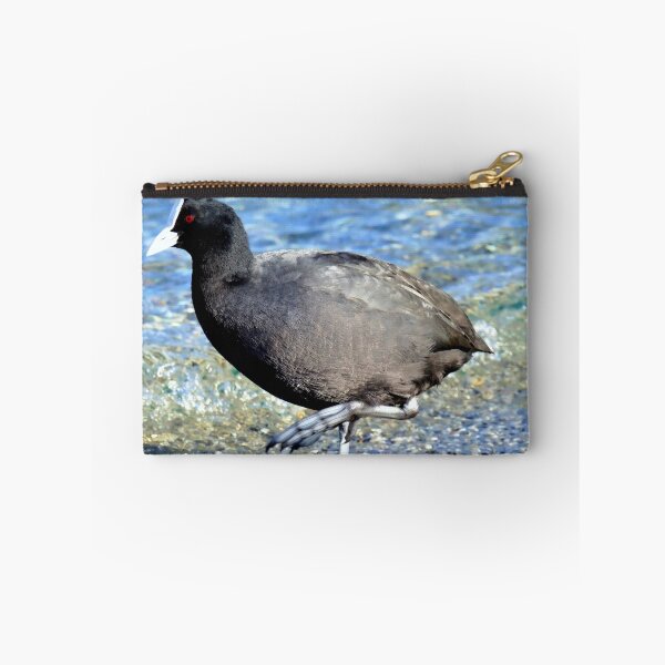 Item preview, Not Quite An All Black! - NZ Coot designed and sold by AndreaEL.