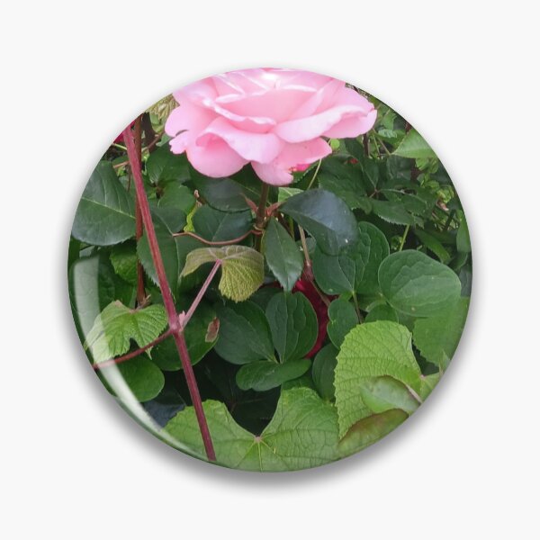 Item preview, Rose Petals designed and sold by Goldentigeress3.