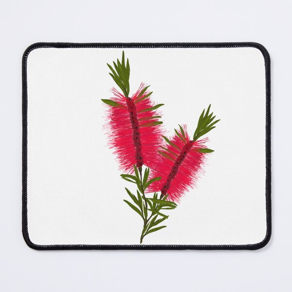 Item preview, Australian Red Bottle Brush Native Flowers  designed and sold by InspiredPamjoy.