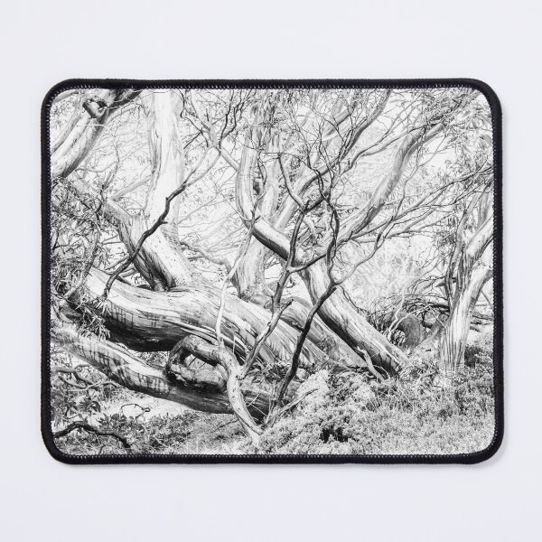 Item preview, Snow Gum designed and sold by Peter Hocking.
