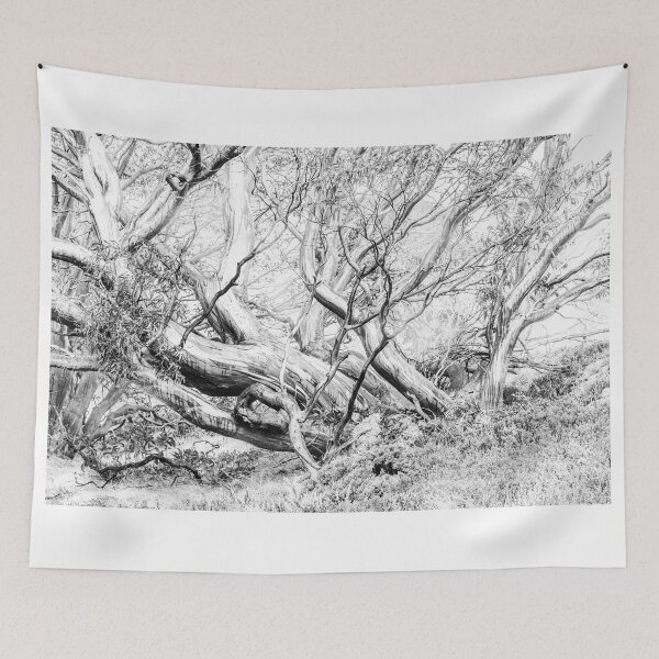 Item preview, Snow Gum designed and sold by Peter Hocking.