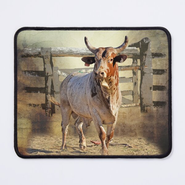 Artikelvorschau, NÄCHSTES RODEO-ZITAT entworfen und verkauft von Barbara Jean Photo Art And Design.