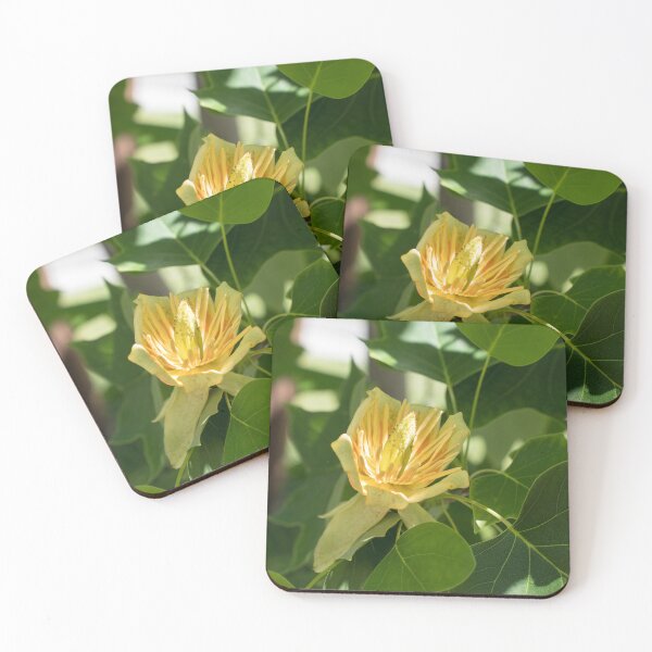 Item preview, Fantastic Yellow Tulip Tree Flower Amid Lush Green Leaves designed and sold by Georgia Mizuleva.