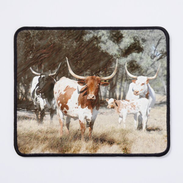 Item preview, LONG HORN CATTLE, WALL ART designed and sold by Barbara Jean Photo Art And Design.