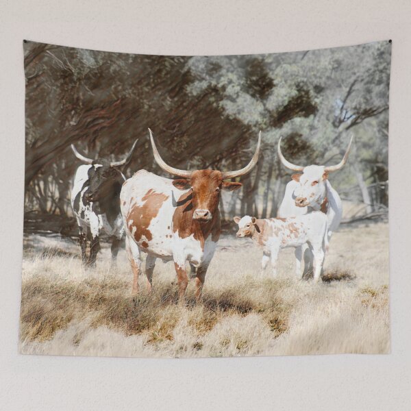 Item preview, LONG HORN CATTLE, WALL ART designed and sold by Barbara Jean Photo Art And Design.