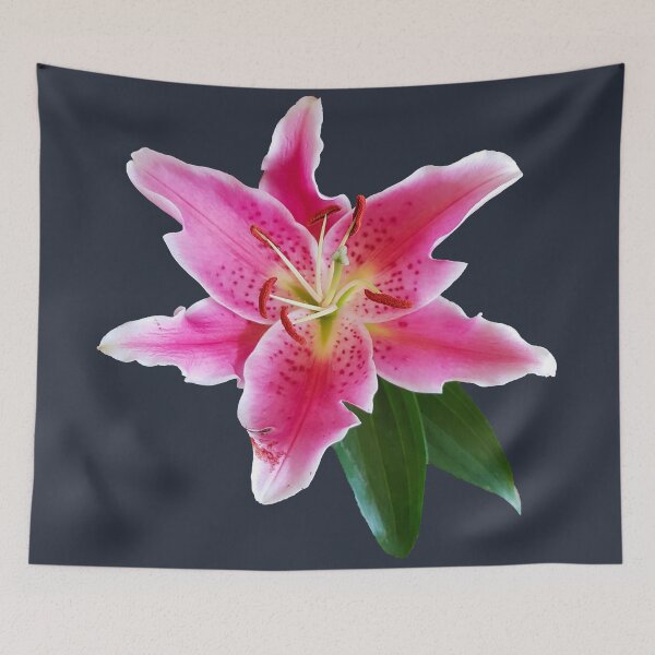 Item preview, Stargazer Lily Flower on Dark Blue Square designed and sold by ellenhenry.