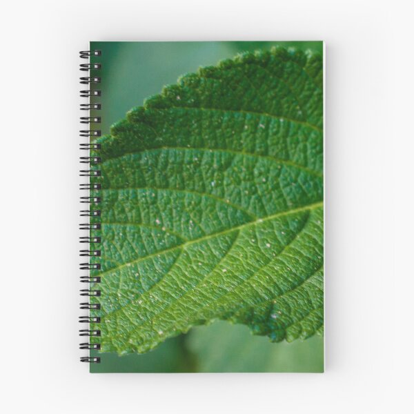 Item preview, Close-Up Green Leaf Texture Showing Prominent Veins and Natural Surface Detail in Soft Background designed and sold by Nmallia.
