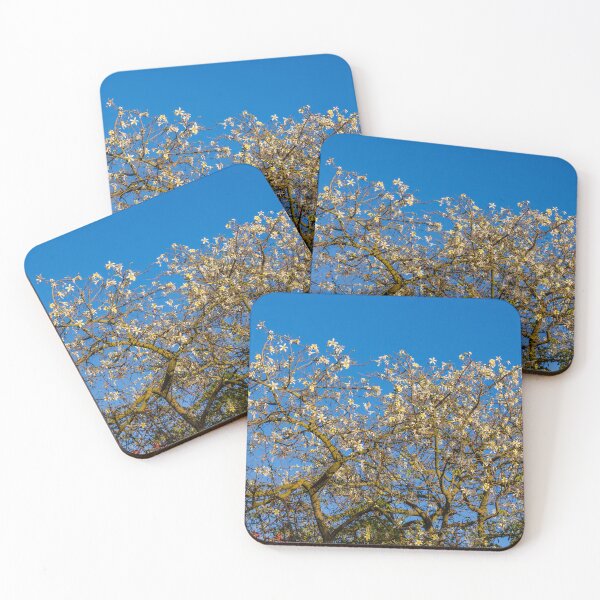Item preview, Star Magnolia Tree in Bloom Against Clear Blue Sky With Delicate White Flowers and Branches designed and sold by Nmallia.