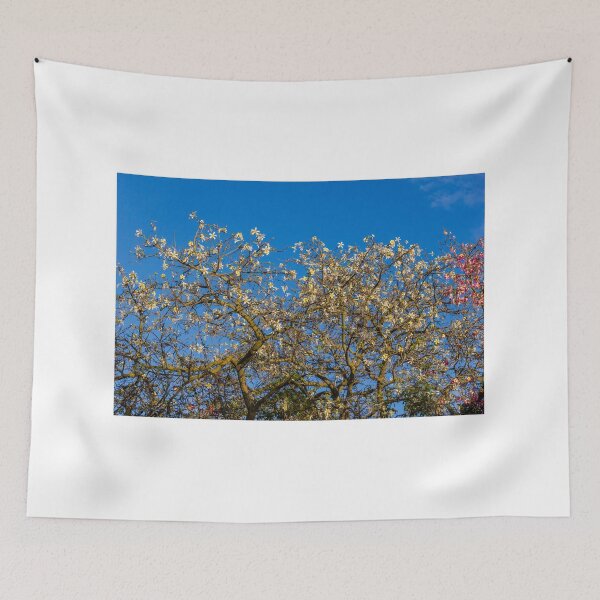 Item preview, Star Magnolia Tree in Bloom Against Clear Blue Sky With Delicate White Flowers and Branches designed and sold by Nmallia.