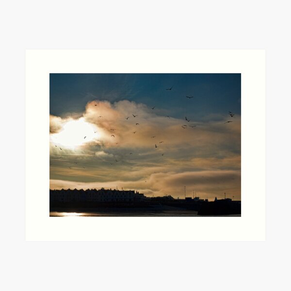 Item preview, Flocking Seagulls!  designed and sold by NeilAlderney.