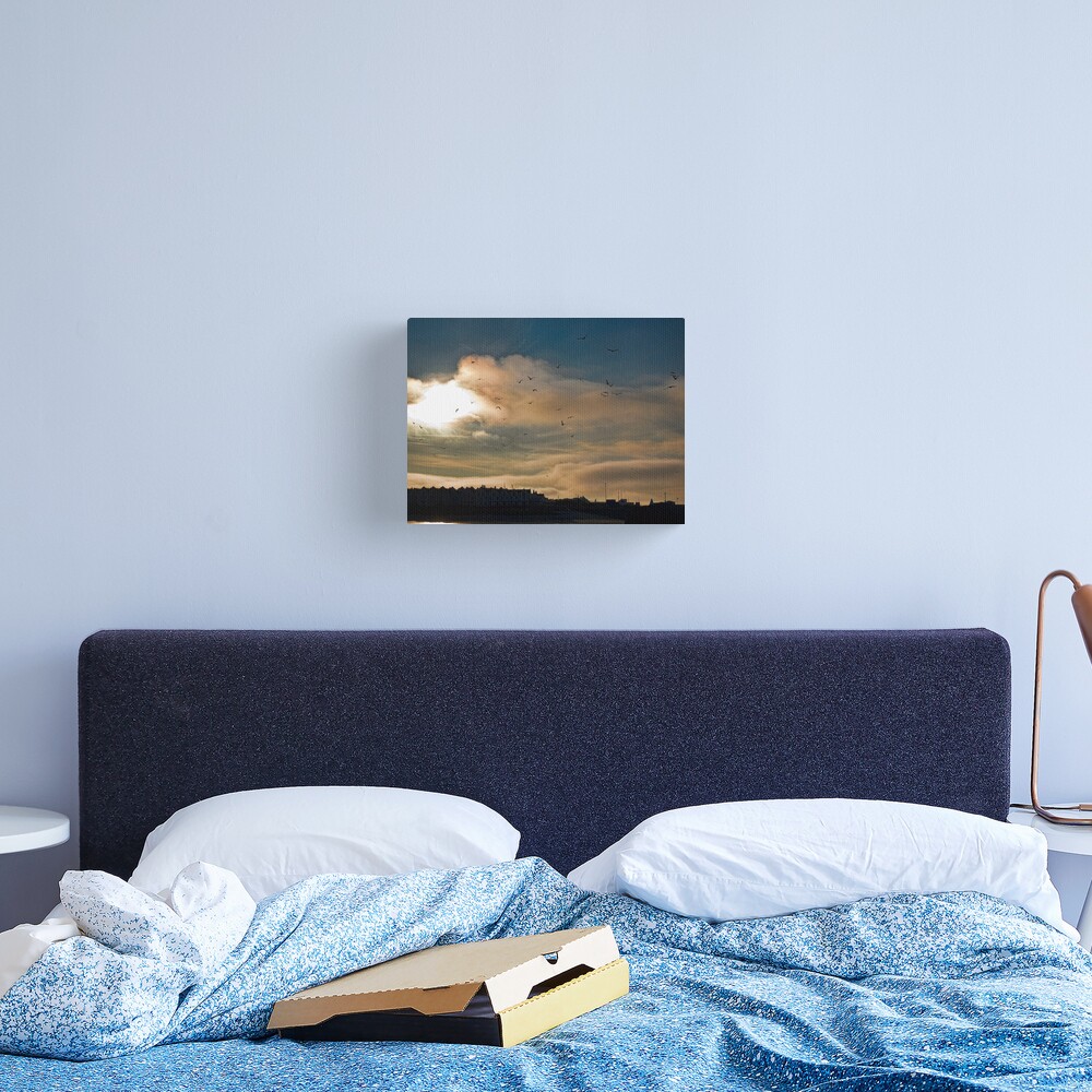 Flocking Seagulls! Canvas Print