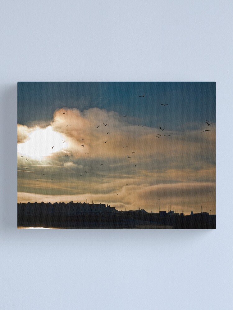 Alternate view of Flocking Seagulls! Canvas Print