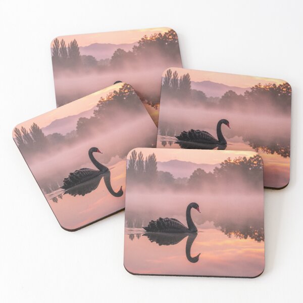 Item preview, Black Swan on a Misty Lake at Sunrise | Fine Art Wildlife Photography designed and sold by ApexAnimal Art.