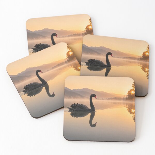 Item preview, Black Swan on a Golden Misty Lake at Sunrise | Elegant Wildlife Fine Art Photography designed and sold by ApexAnimal Art.