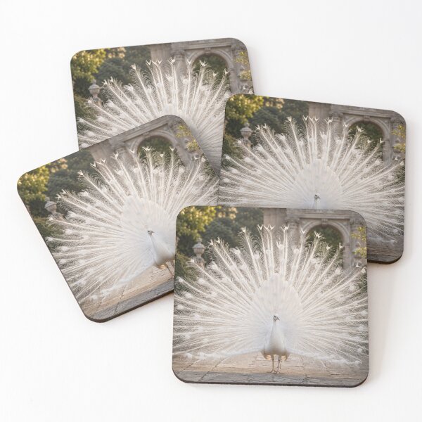 Item preview, White Peacock Displaying Full Feathers in a Historic Garden | Elegant Fine Art Wildlife Photography designed and sold by ApexAnimal Art.