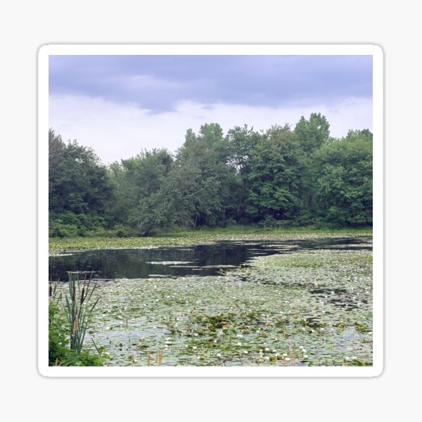 Item preview, Pond life designed and sold by Harmonyfellowship23.