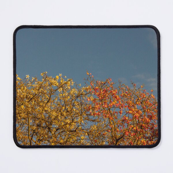 Item preview, Golden and Pink Flowering Trees Against Blue Sky at Sunset With Warm Light designed and sold by Nmallia.
