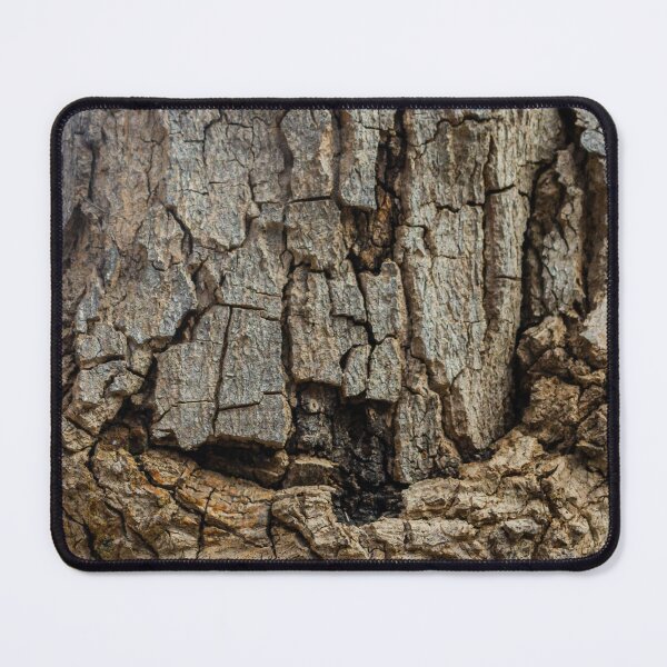 Item preview, Close-Up Tree Bark Texture Showing Rough Cracked Bark and Weathered Wood Surface Details designed and sold by Nmallia.