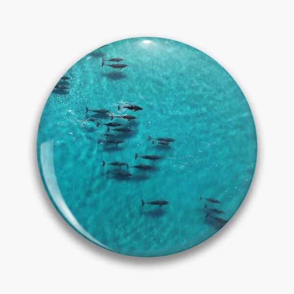 Item preview, Wild Dolphins of Sleaford Bay II designed and sold by Images-on-Eyre.