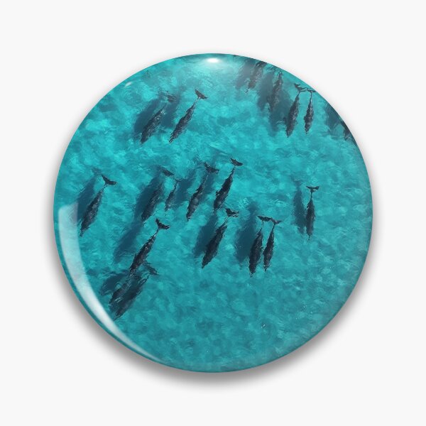Item preview, Playful Dolphins of Sleaford Bay - I designed and sold by Images-on-Eyre.